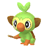 Grookey