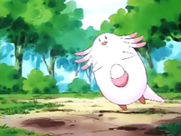 Archivo:EP075 Chansey.png