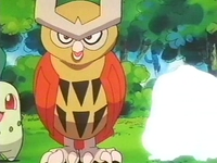 Archivo:EP157 Noctowl.png