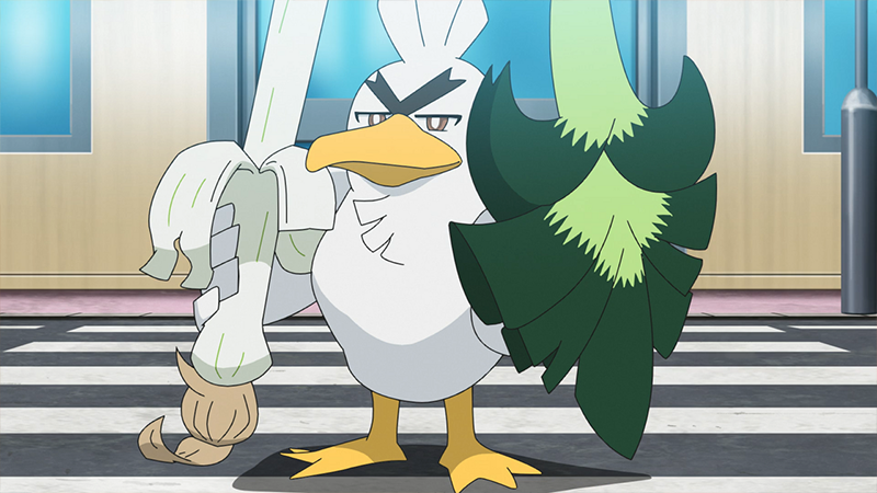 Farfetch'd de Ash Evoluciona!? 