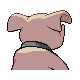 Imagen posterior de Granbull variocolor en Pokémon Oro HeartGold y Pokémon Plata SoulSilver