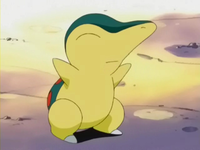 Archivo:EP264 Cyndaquil.png