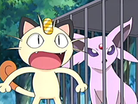 Archivo:EP398 Meowth y Espeon.png