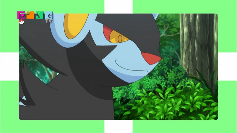 Archivo:EP905 Luxray.png