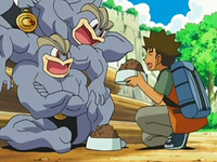 Archivo:EP526 Brock dando de comer a los Machamp.png