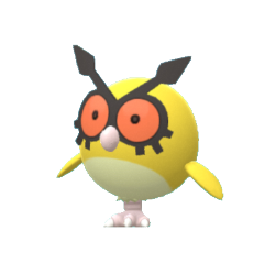HootHoot