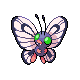 Imagen de Butterfree variocolor hembra en Pokémon Diamante y Pokémon Perla