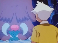 Piloswine usando descanso.
