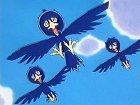 Archivo:EP186 Murkrow (5).png