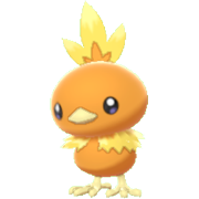 Archivo:Torchic EpEc hembra.png