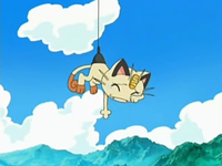 Archivo:EP522 Recogiendo a Meowth.png