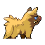 Imagen posterior de Poochyena variocolor en Pokémon Esmeralda