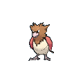 Spearow XY.png