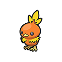 Icono de Torchic en Pokémon HOME