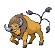 Archivo:Tauros HGSS.png