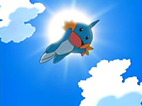 Archivo:EP425 Mudkip.png