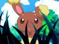 Archivo:EP478 Buneary asombrada por Pikachu.png