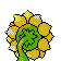 Archivo:Sunflora espalda G2.png