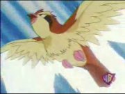 Pidgey usando ataque rápido.