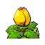 Imagen posterior de Ivysaur variocolor en Pokémon Esmeralda