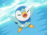 Archivo:EP544 Piplup usando torbellino.png