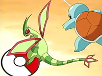 Squirtle vs. Flygon