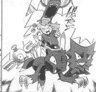 Archivo:GB11 Pokémon de Black.png