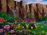 Archivo:EP254 Bellossom.png