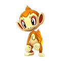 Chimchar GO.png