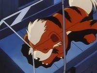 Archivo:EP030 Growlithe.png