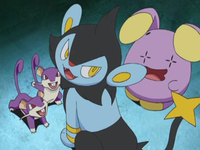 Archivo:EP578 Luxio, Whismur y Rattata.png