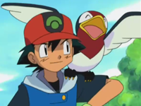 Archivo:EP280 Taillow y Ash.png
