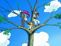 Archivo:EP534 Team Rocket observando desde el árbol.png