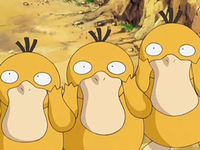 Archivo:EP556 Psyduck (8).png