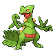 Sceptile HGSS.png