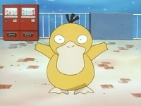 Archivo:EP036 Psyduck.png