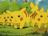 Archivo:EP039 Pikachu salvajes.png