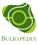 Archivo:Logo Bulbapedia.png