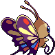 Imagen posterior de Beautifly variocolor macho en Pokémon Platino