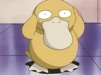 Archivo:EP028 Psyduck.png