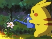 Archivo:EP026 Pikachu usando una regadera.png