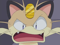 Archivo:EP573 Meowth (2).png