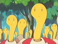 Archivo:EP172 Shuckle (3).png