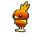 Archivo:Torchic Colosseum.png