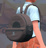 Mochila de lona (marrón) EP.png