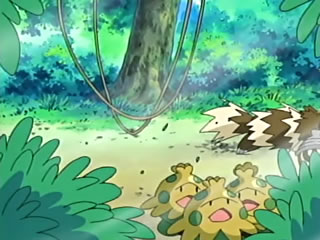 Archivo:EP449 Pokémon del bosque.jpg