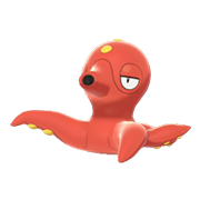 Archivo:Octillery EpEc hembra.png