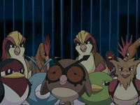 Archivo:EP482 Pokémon voladores capturados.png