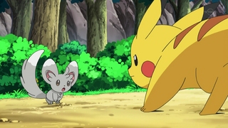 Archivo:EP673 Pikachu vs Minccino.jpg