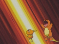 Archivo:EP347 Torchic y Charmander.png